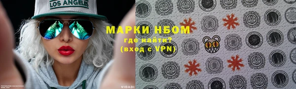 твердый Бородино
