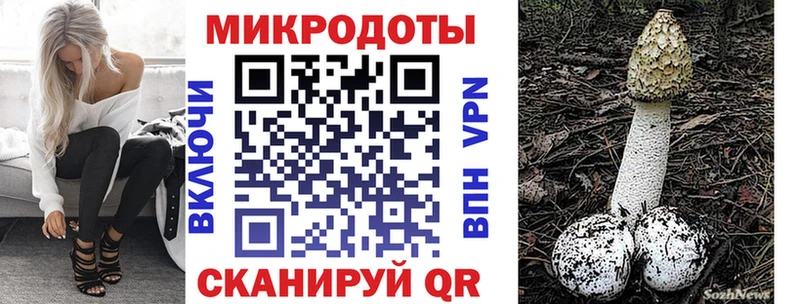 купить наркотик  Кашира  Псилоцибиновые грибы Magic Shrooms 